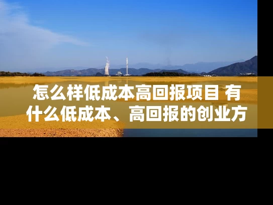 怎么样低成本高回报项目 有什么低成本、高回报的创业方法呢