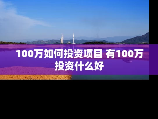 100万如何投资项目 有100万投资什么好