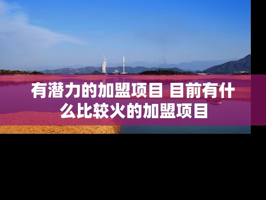 有潜力的加盟项目 目前有什么比较火的加盟项目