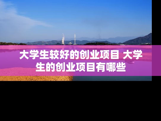 大学生较好的创业项目 大学生的创业项目有哪些