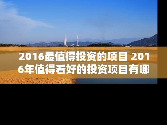 2016最值得投资的项目 2016年值得看好的投资项目有哪些