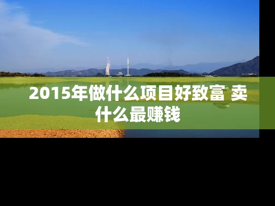 2015年做什么项目好致富 卖什么最赚钱