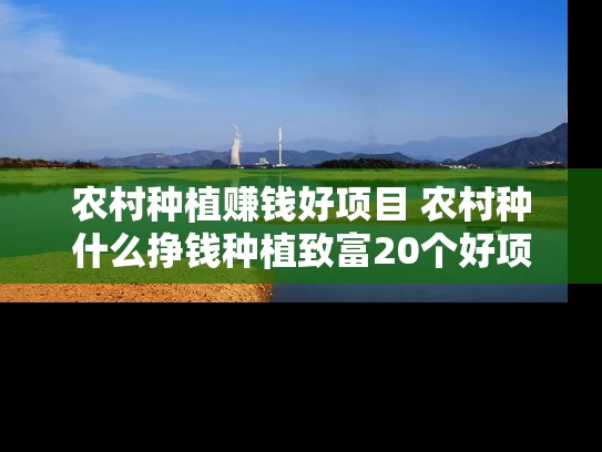 农村种植赚钱好项目 农村种什么挣钱种植致富20个好项目
