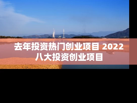 去年投资热门创业项目 2022八大投资创业项目