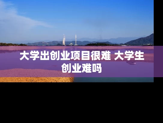大学出创业项目很难 大学生创业难吗