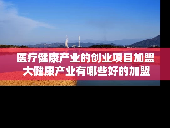 医疗健康产业的创业项目加盟 大健康产业有哪些好的加盟项目