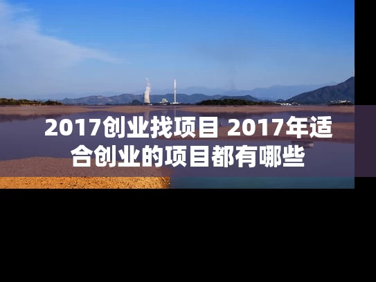 2017创业找项目 2017年适合创业的项目都有哪些