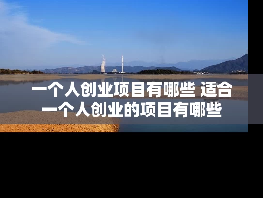 一个人创业项目有哪些 适合一个人创业的项目有哪些