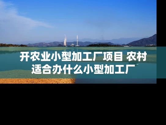开农业小型加工厂项目 农村适合办什么小型加工厂