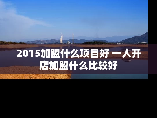 2015加盟什么项目好 一人开店加盟什么比较好