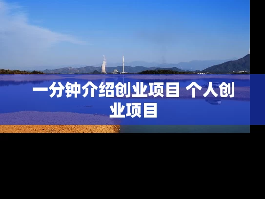 一分钟介绍创业项目 个人创业项目