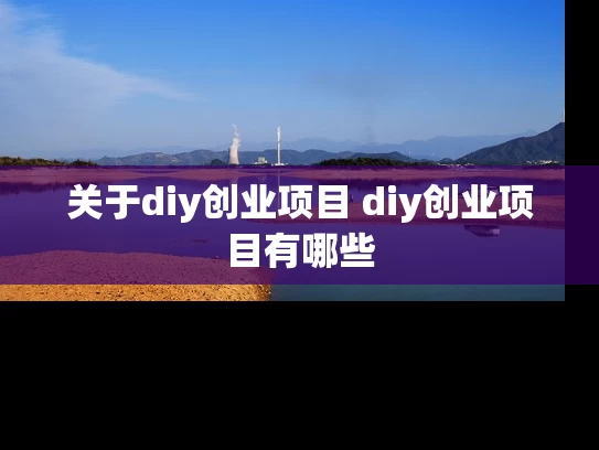 关于diy创业项目 diy创业项目有哪些