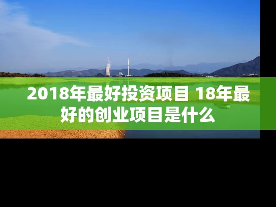 2018年最好投资项目 18年最好的创业项目是什么