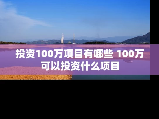 投资100万项目有哪些 100万可以投资什么项目