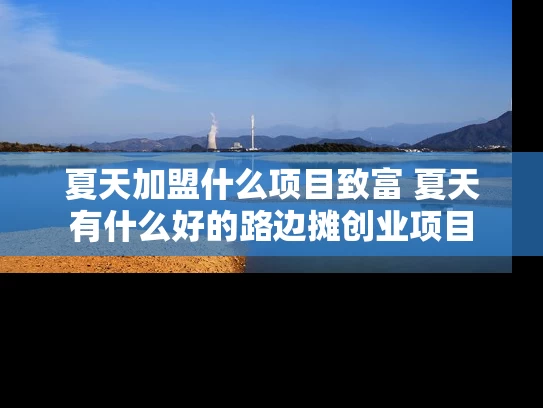 夏天加盟什么项目致富 夏天有什么好的路边摊创业项目