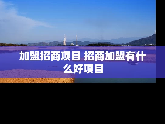 加盟招商项目 招商加盟有什么好项目