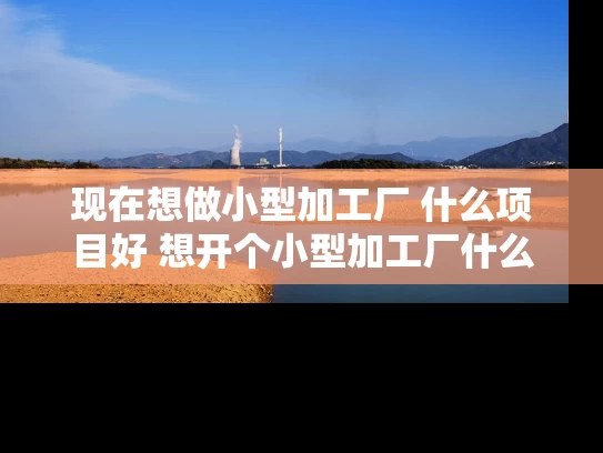 现在想做小型加工厂 什么项目好 想开个小型加工厂什么项目比较赚钱