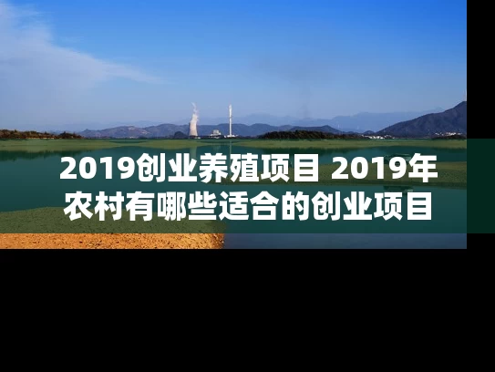 2019创业养殖项目 2019年农村有哪些适合的创业项目