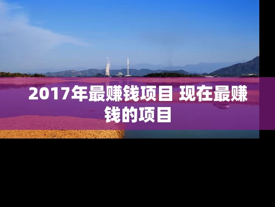 2017年最赚钱项目 现在最赚钱的项目
