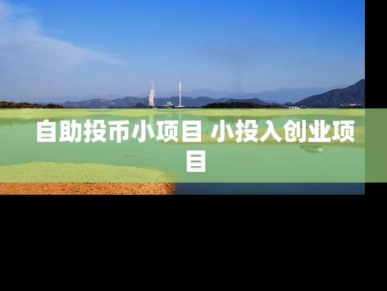 自助投币小项目 小投入创业项目