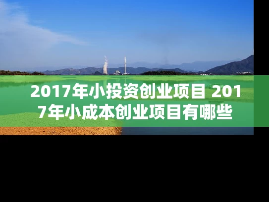 2017年小投资创业项目 2017年小成本创业项目有哪些