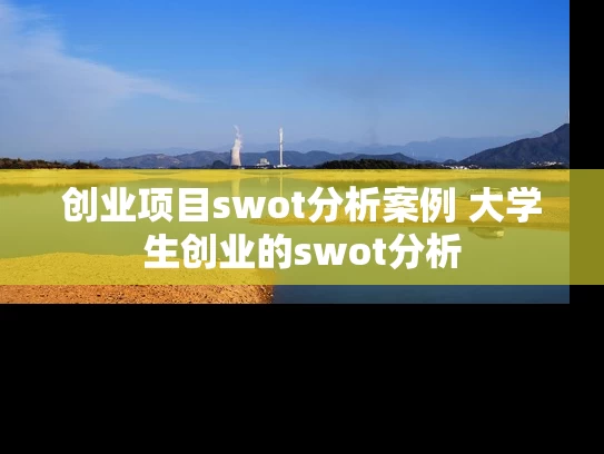 创业项目swot分析案例 大学生创业的swot分析 创业项目swot分析案例 大学生创业的swot分析