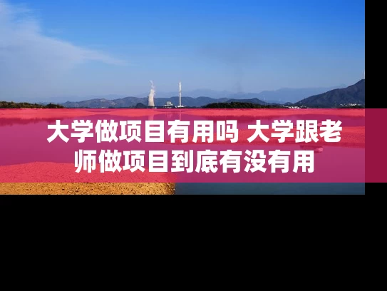 大学做项目有用吗 大学跟老师做项目到底有没有用 大学做项目有用吗 大学跟老师做项目到底有没有用