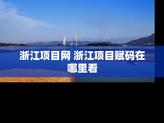 浙江项目网 浙江项目赋码在哪里看 浙江项目网 浙江项目赋码在哪里看