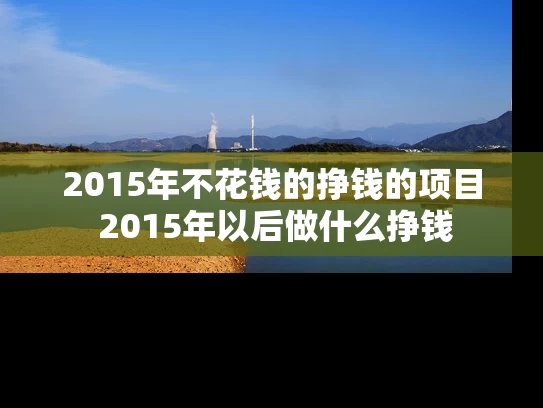 2015年不花钱的挣钱的项目 2015年以后做什么挣钱