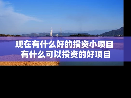 现在有什么好的投资小项目 有什么可以投资的好项目 现在有什么好的投资小项目 有什么可以投资的好项目