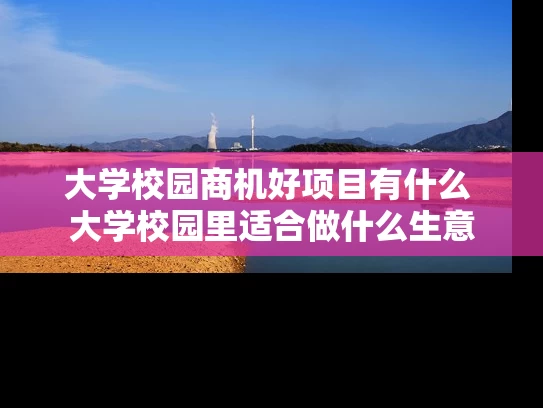 大学校园商机好项目有什么 大学校园里适合做什么生意