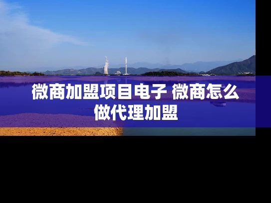 微商加盟项目电子 微商怎么做代理加盟