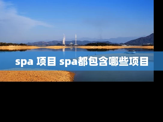 spa 项目 spa都包含哪些项目 spa 项目 spa都包含哪些项目
