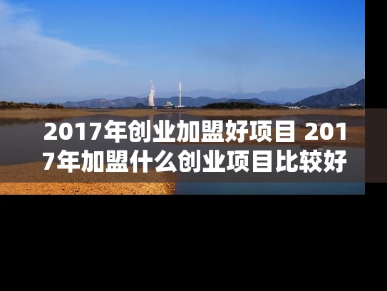 2017年创业加盟好项目 2017年加盟什么创业项目比较好 2017年创业加盟好项目 2017年加盟什么创业项目比较好