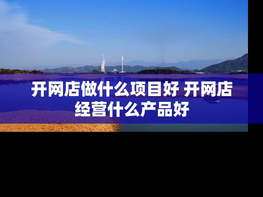 开网店做什么项目好 开网店经营什么产品好