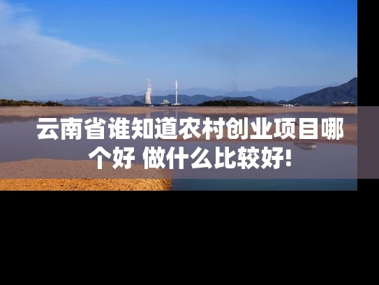 云南省谁知道农村创业项目哪个好 做什么比较好!