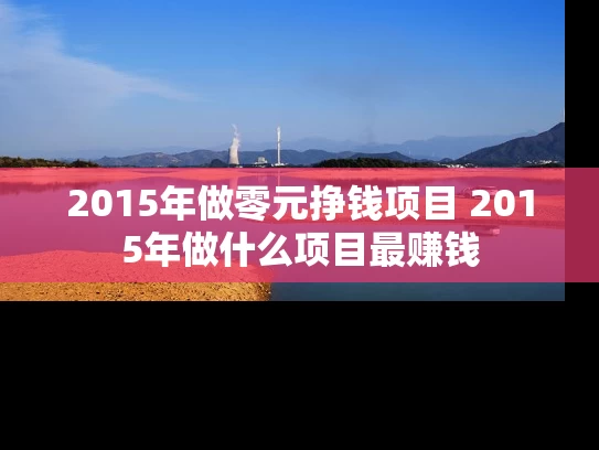 2015年做零元挣钱项目 2015年做什么项目最赚钱