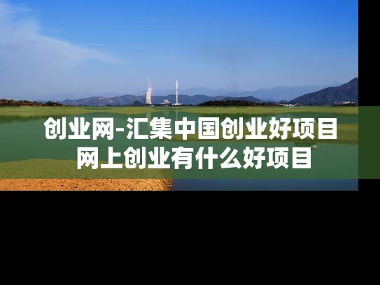 创业网-汇集中国创业好项目 网上创业有什么好项目