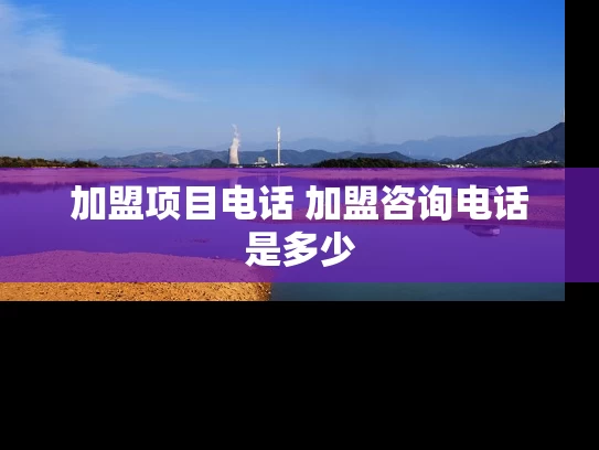 加盟项目电话 加盟咨询电话是多少