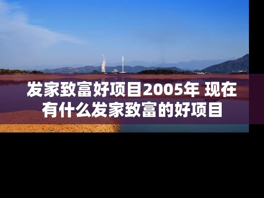 发家致富好项目2005年 现在有什么发家致富的好项目