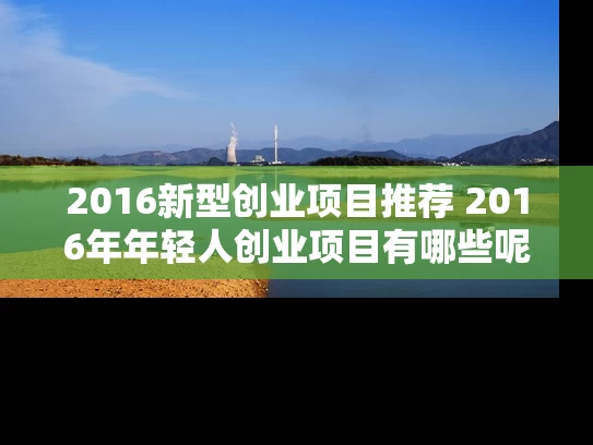 2016新型创业项目推荐 2016年年轻人创业项目有哪些呢