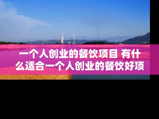 一个人创业的餐饮项目 有什么适合一个人创业的餐饮好项目