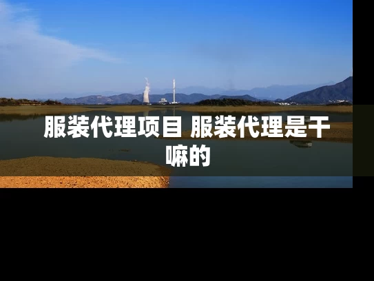 服装代理项目 服装代理是干嘛的