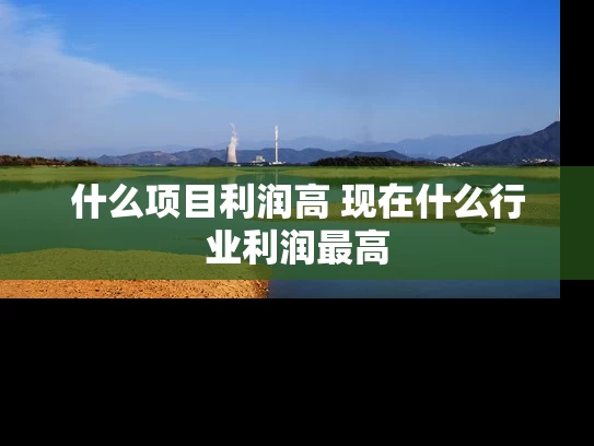 什么项目利润高 现在什么行业利润最高