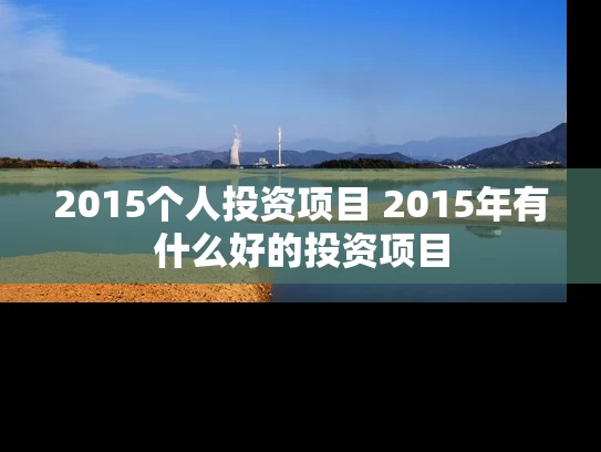 2015个人投资项目 2015年有什么好的投资项目