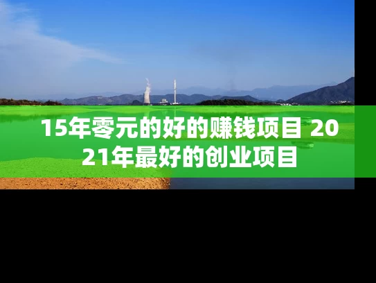 15年零元的好的赚钱项目 2021年最好的创业项目