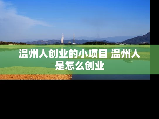 温州人创业的小项目 温州人是怎么创业