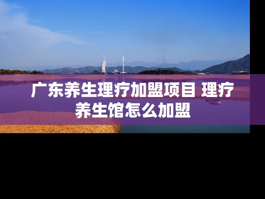 广东养生理疗加盟项目 理疗养生馆怎么加盟