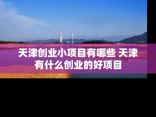 天津创业小项目有哪些 天津有什么创业的好项目