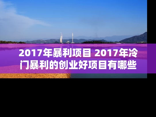 2017年暴利项目 2017年冷门暴利的创业好项目有哪些